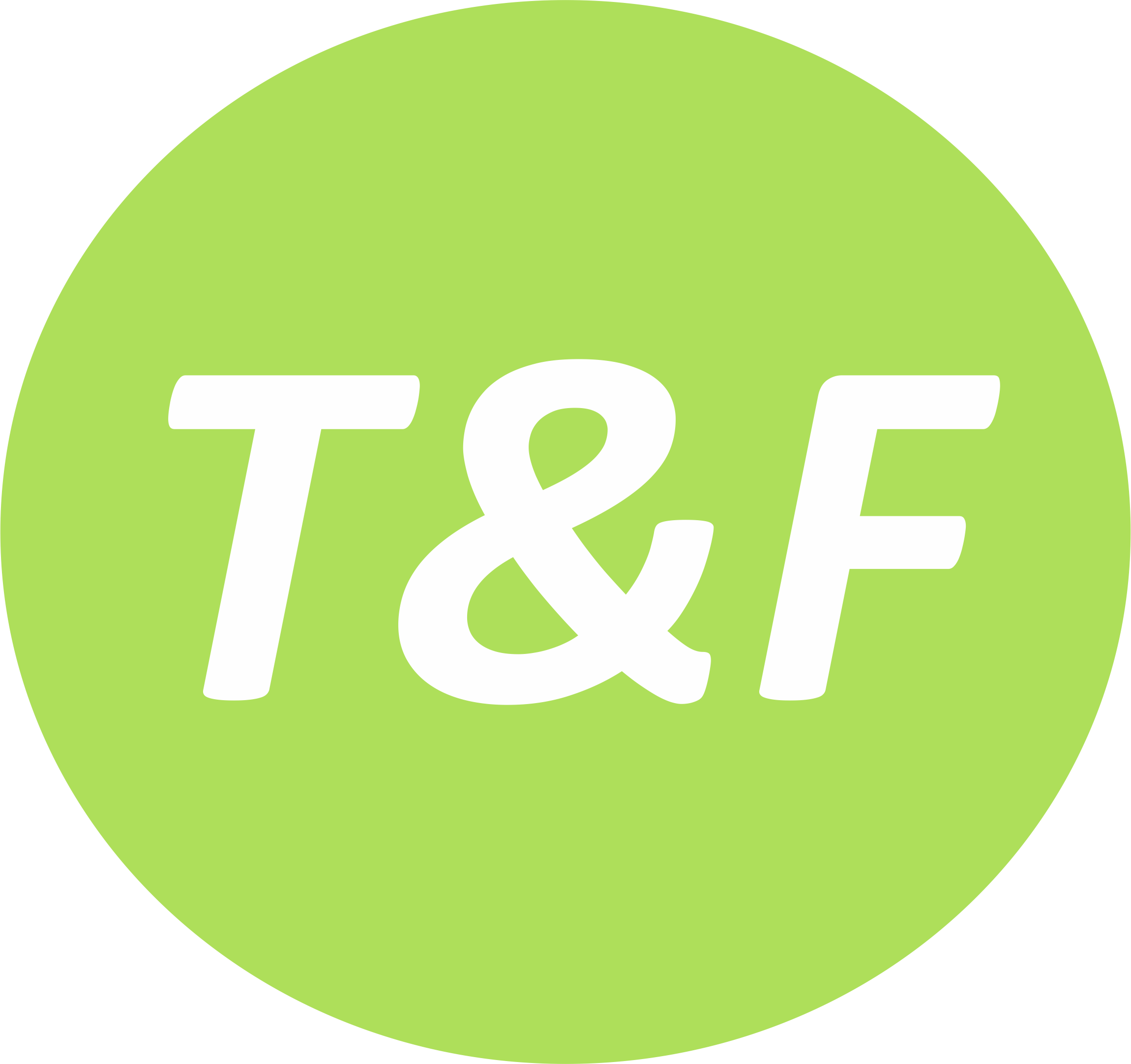 T&F IT Consulting Logo